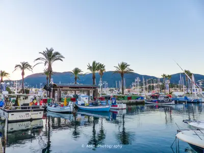 Port Heraclea