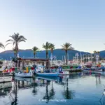 Port Heraclea