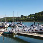 Dart Marina