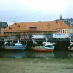 Bassin Morny