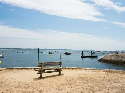 Port de La Vigne, marina in Lège-Cap-Ferret, France — photo 5