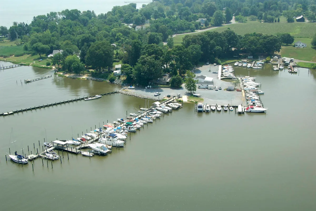 Town Pointe Marina in Leitch, United States