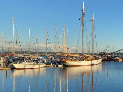 Port Townsend Boat Haven, marina in Port Townsend, United States — photo 2