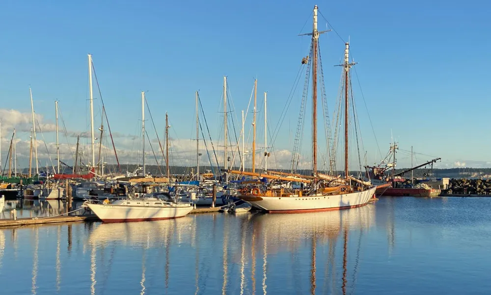Port Townsend Boat Haven, marina in Port Townsend, United States — photo 2