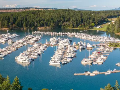 Roche Harbor Marina in Roche Harbor, United States — photo 2