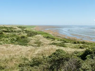 Waddehaven Ameland, marina in Nes, Netherlands — photo 5