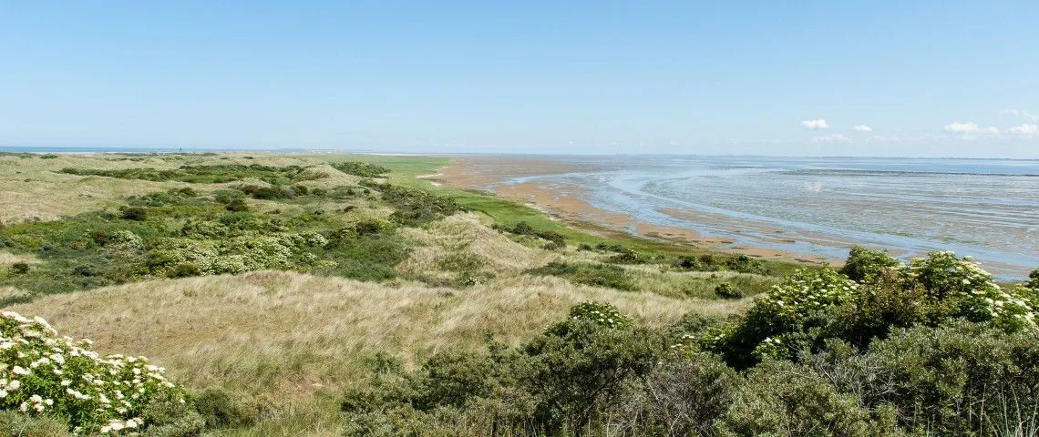 Waddehaven Ameland, marina in Nes, Netherlands — photo 5