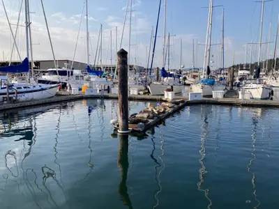 Anacortes Marina in Anacortes, United States — photo 2