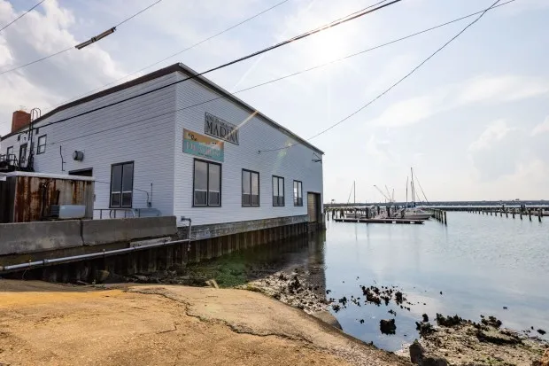 Old Point Comfort Marina in Hampton, United States — photo 3