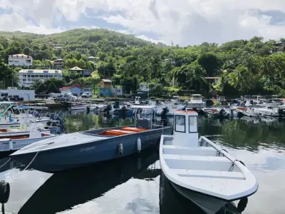Anse Deshaies, marina in Deshaies, France — photo 4