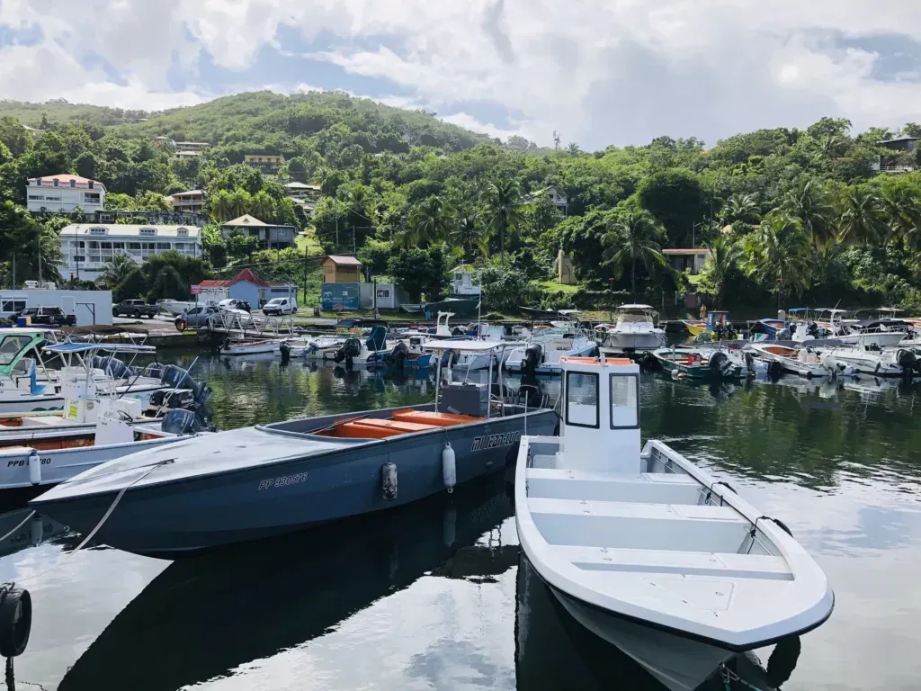 Anse Deshaies, marina in Deshaies, France — photo 4