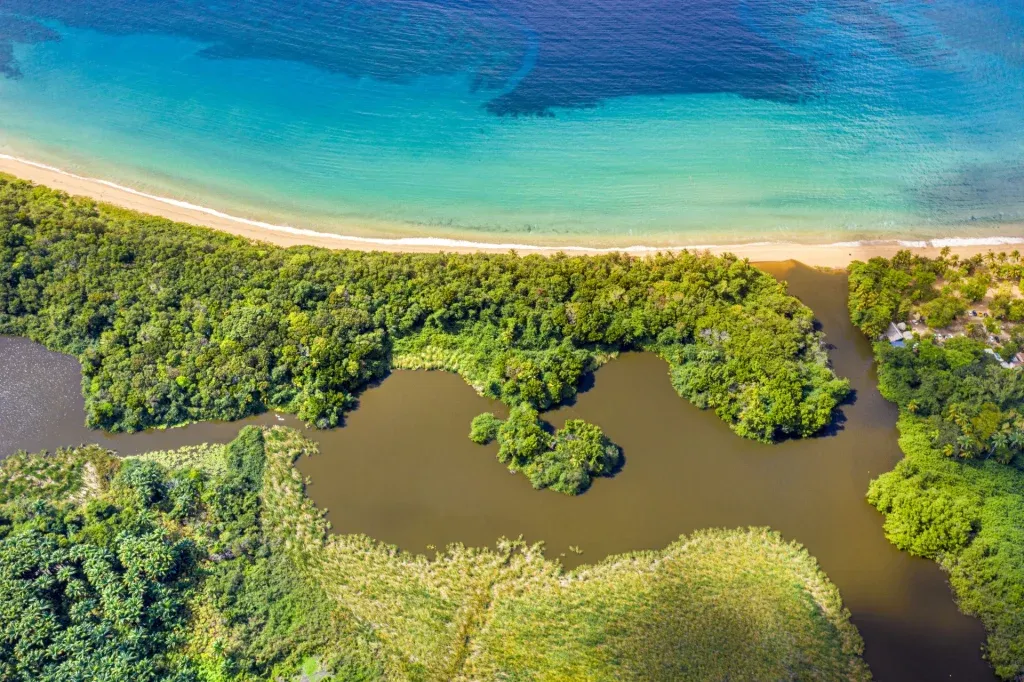 Anse Deshaies, marina in Deshaies, France