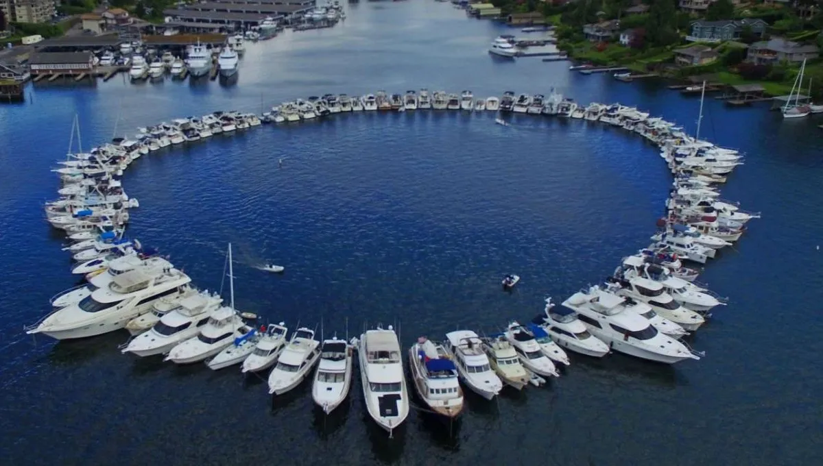 Meydenbauer Bay Yacht Club, marina in Bellevue, United States — photo 2