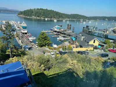 Port of Friday Harbor, marina in Friday Harbor, United States — photo 3