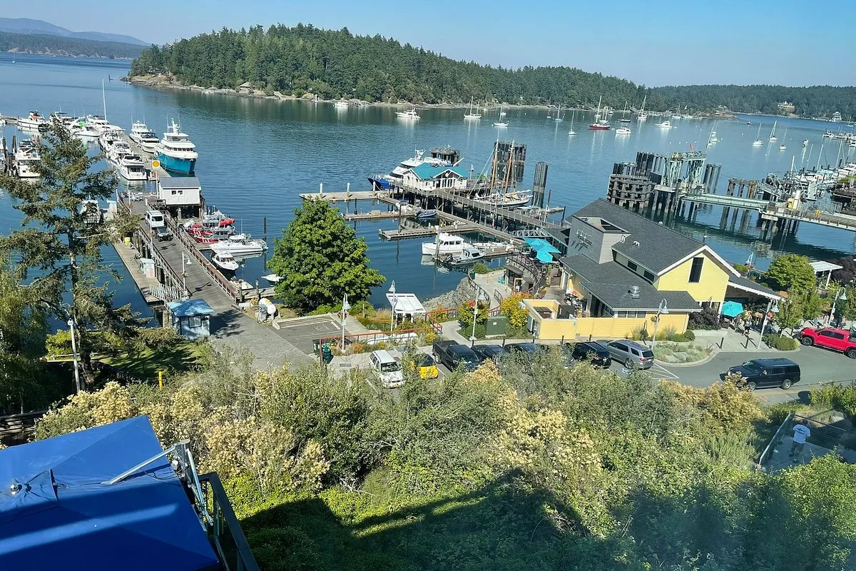 Port of Friday Harbor, marina in Friday Harbor, United States — photo 3
