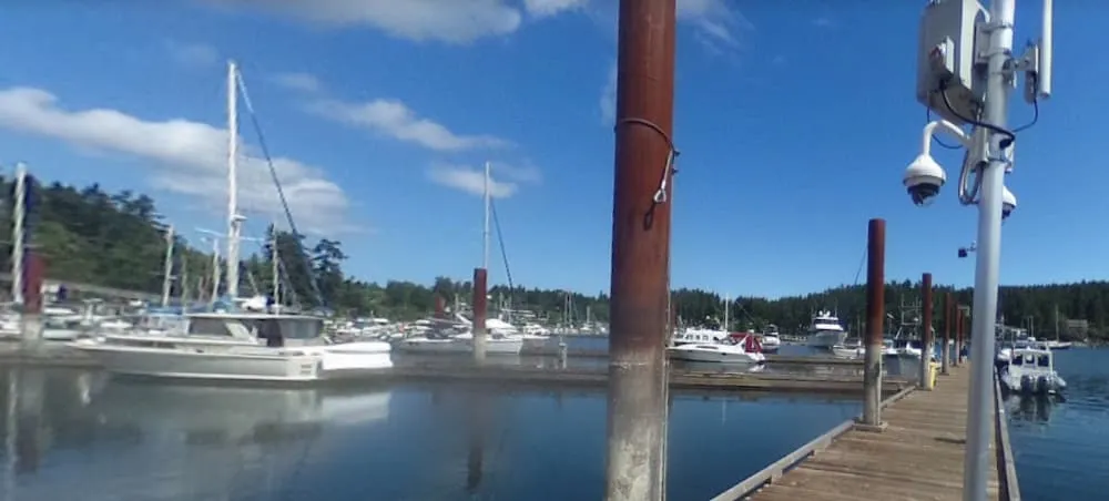 Ganges Kanaka Harbour, marina in Salt Spring Island Electoral Area, Canada — photo 2