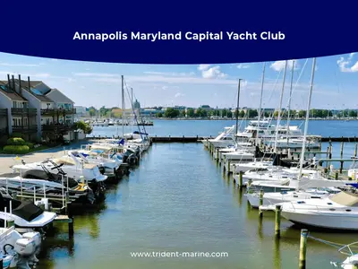 Annapolis Maryland Capital Yacht Club, marina in Annapolis, United States — photo 2