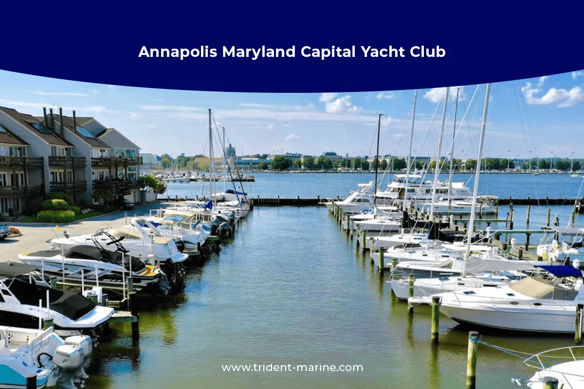 Annapolis Maryland Capital Yacht Club, marina in Annapolis, United States — photo 2