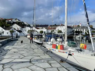 Risør gjestehavn, marina in Risør, Norway — photo 2