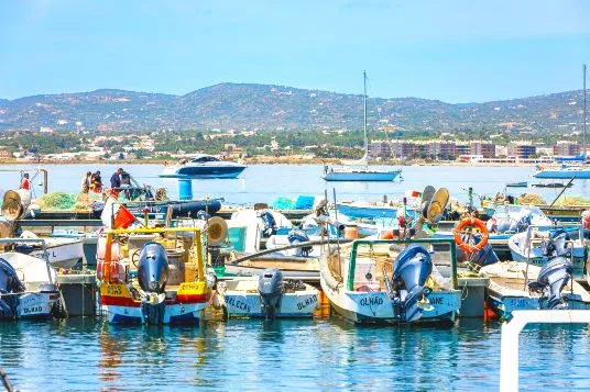 Porto de Pesca da Culatra, marina in Faro, Portugal — photo 7