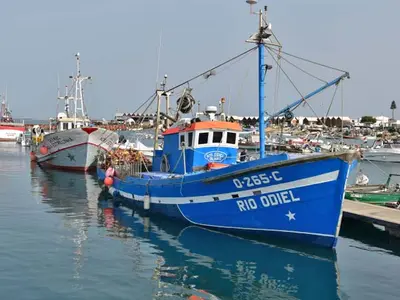 Porto de Pesca da Culatra, marina in Faro, Portugal — photo 2