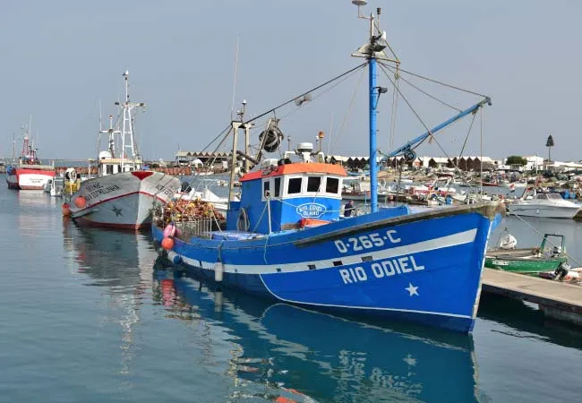 Porto de Pesca da Culatra, marina in Faro, Portugal — photo 2