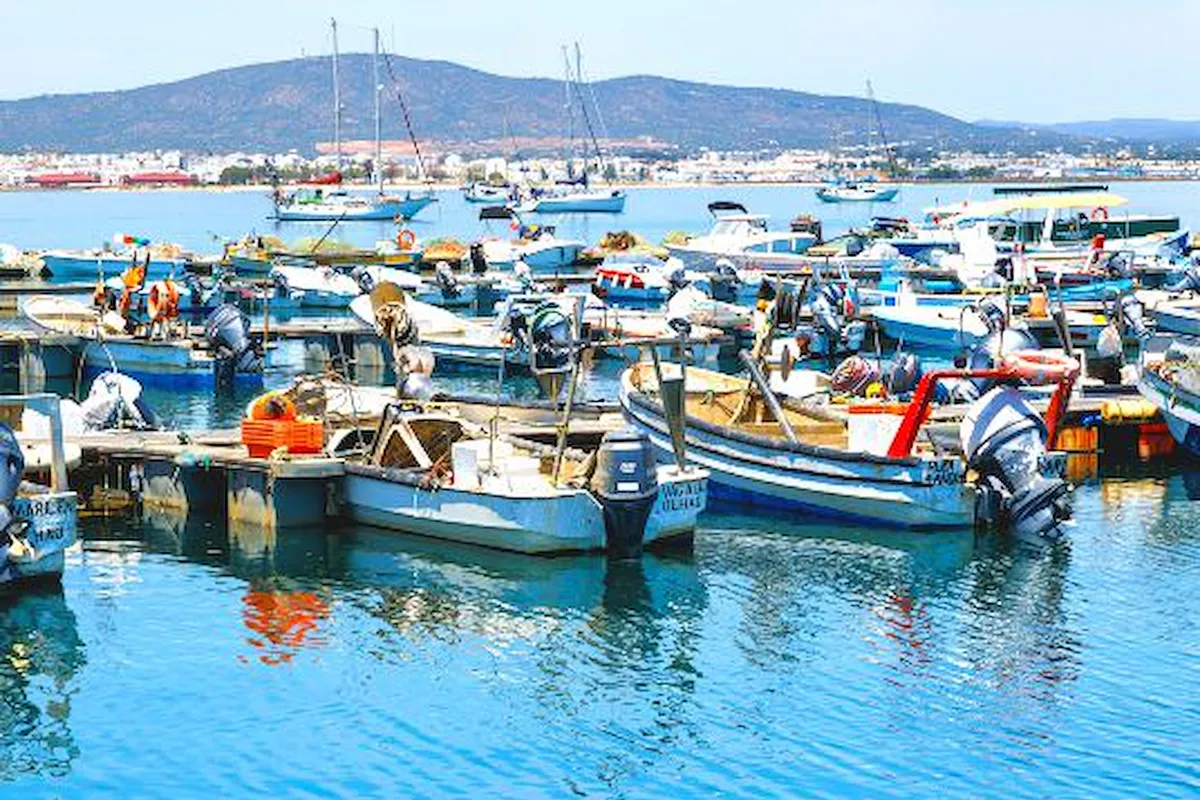 Porto de Pesca da Culatra, marina in Faro, Portugal