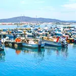 Porto de Pesca da Culatra