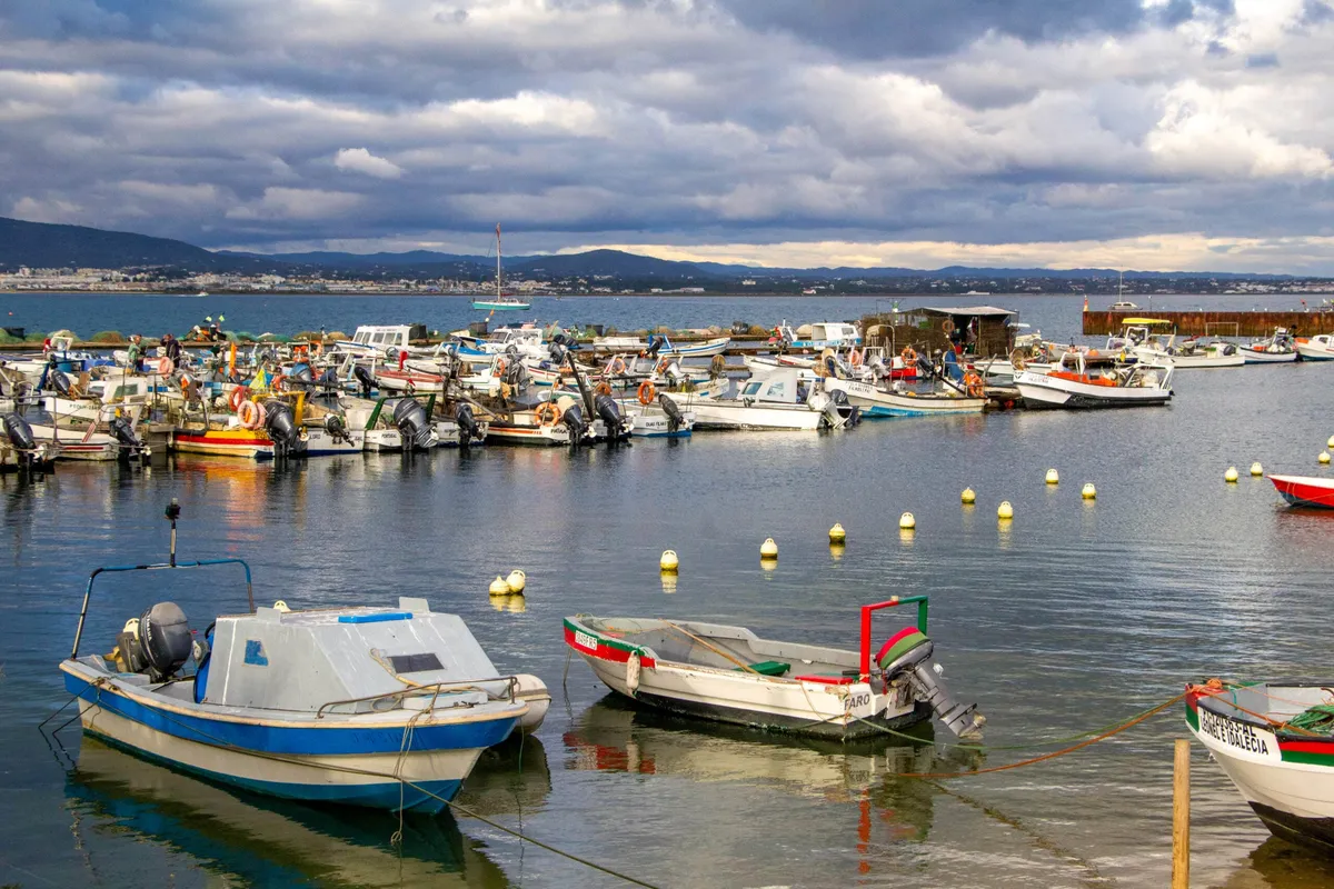 Porto de Pesca da Culatra, marina in Faro, Portugal — photo 4