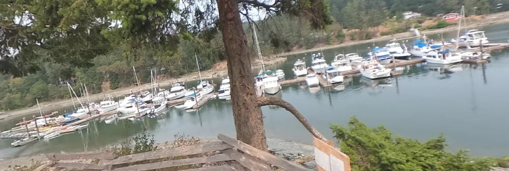Browning Harbour, marina in Southern Gulf Islands Electoral Area, Canada — photo 7