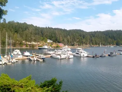 Browning Harbour, marina in Southern Gulf Islands Electoral Area, Canada — photo 5
