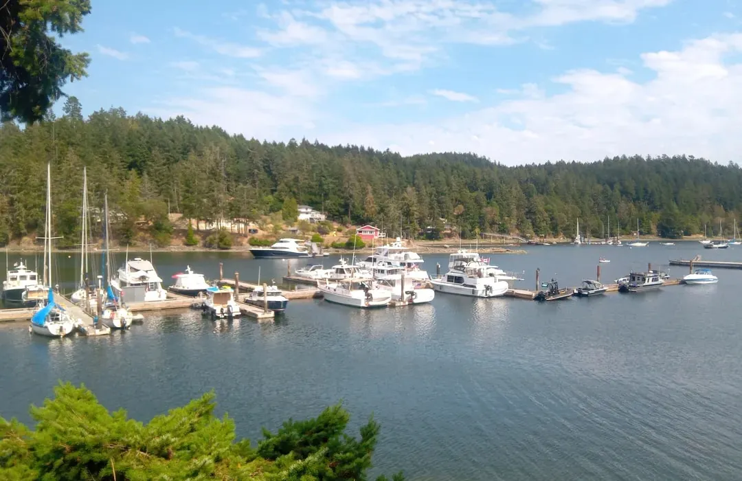 Browning Harbour, marina in Southern Gulf Islands Electoral Area, Canada — photo 5
