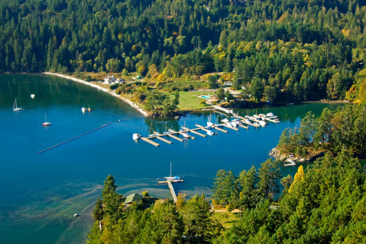 Browning Harbour, marina in Southern Gulf Islands Electoral Area, Canada — photo 3
