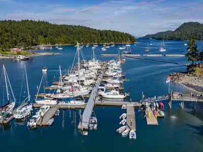 Browning Harbour