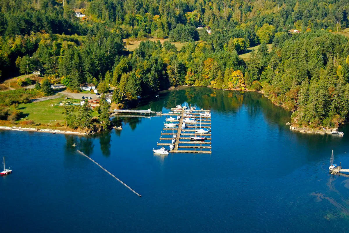 Browning Harbour, marina in Southern Gulf Islands Electoral Area, Canada — photo 4