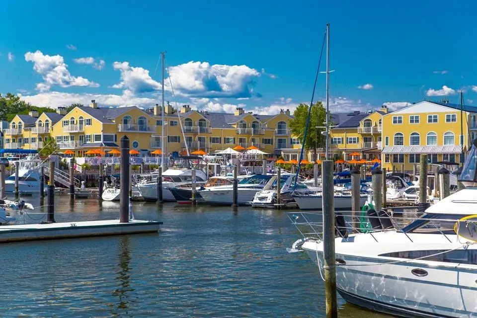 Saybrook Point Marina in Old Saybrook, United States — photo 2