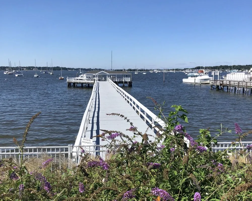 Brewer Capri Marina West in Village of Manorhaven, United States — photo 7