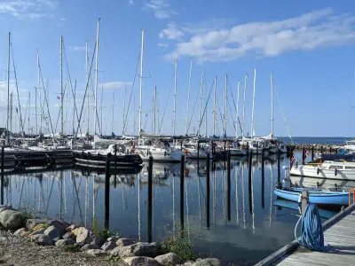 Omø Lystbådehavn, marina in Omø By, Denmark — photo 2