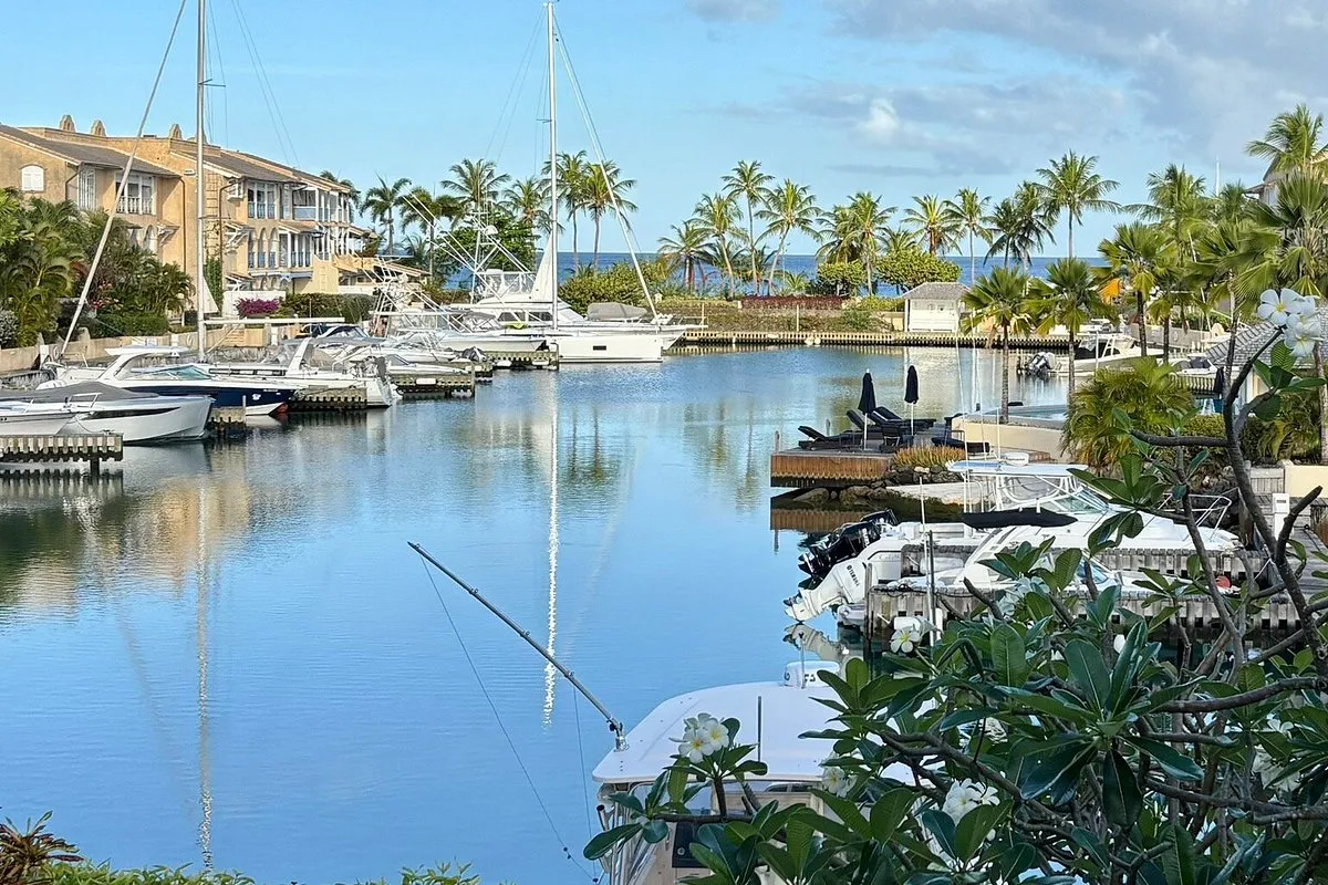 Port St. Charles, marina in Speightstown, Barbados — photo 4