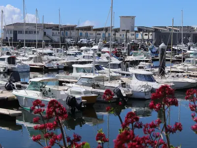Port de plaisance de la Turballe, marina in La Turballe, France — photo 2