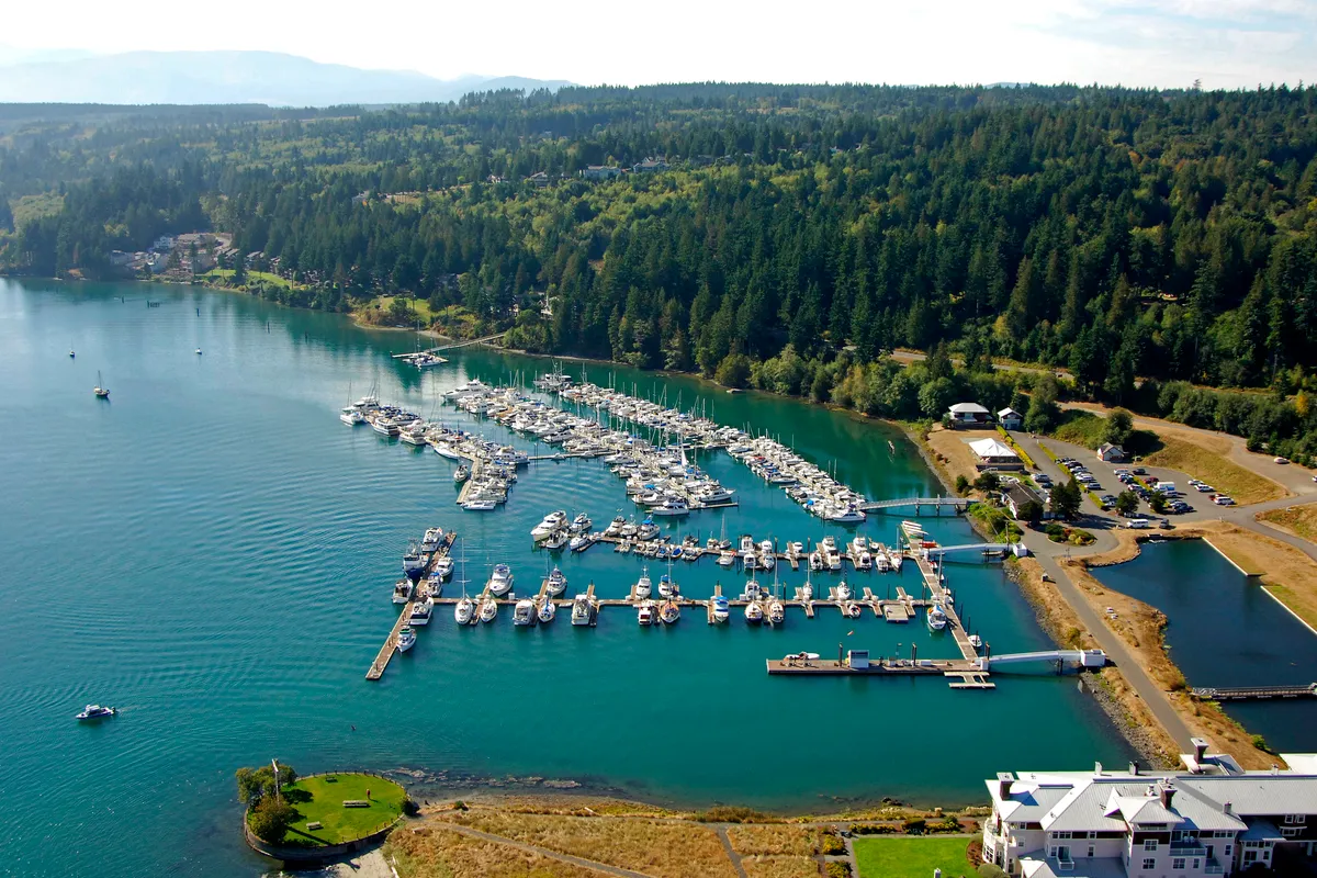 Port Ludlow Marina in Port Ludlow, United States — photo 4