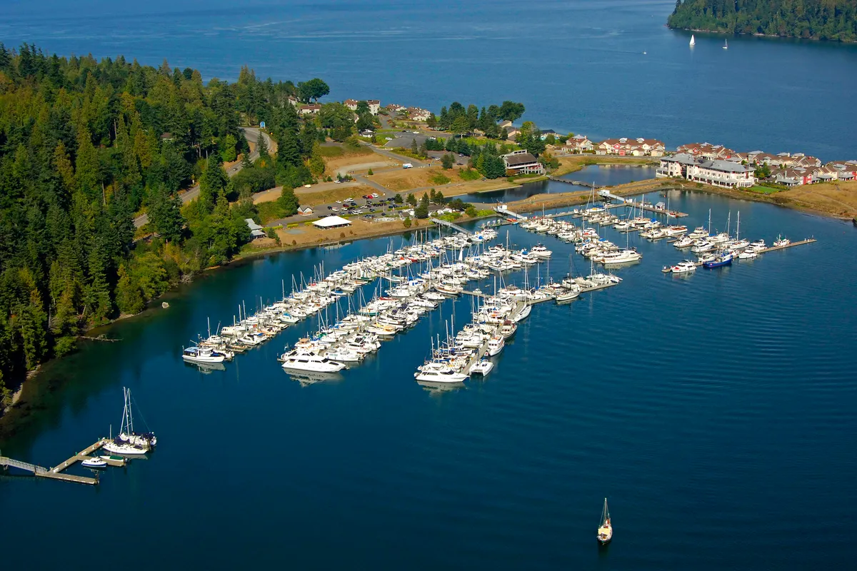 Port Ludlow Marina in Port Ludlow, United States — photo 3