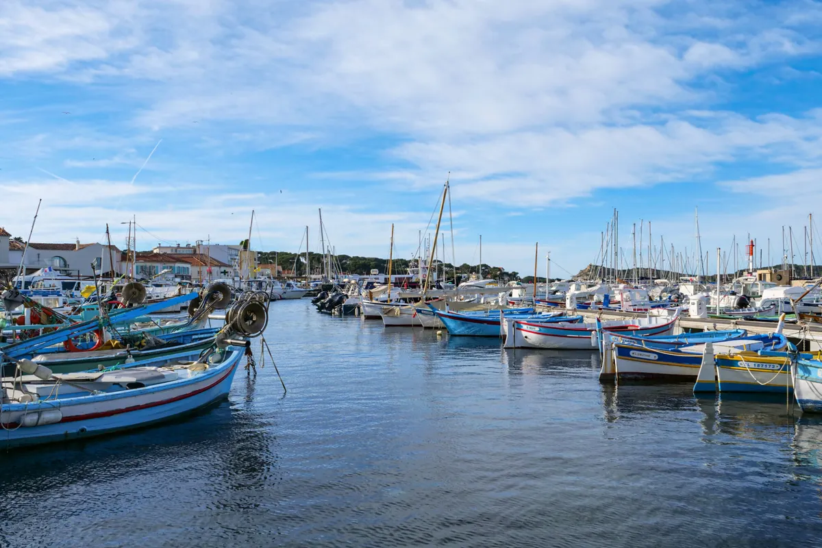 Port du Brusc, marina in Six-Fours-les-Plages, France — photo 2
