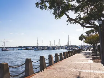 Safe Harbor Beaufort, marina in Beaufort, United States — photo 2