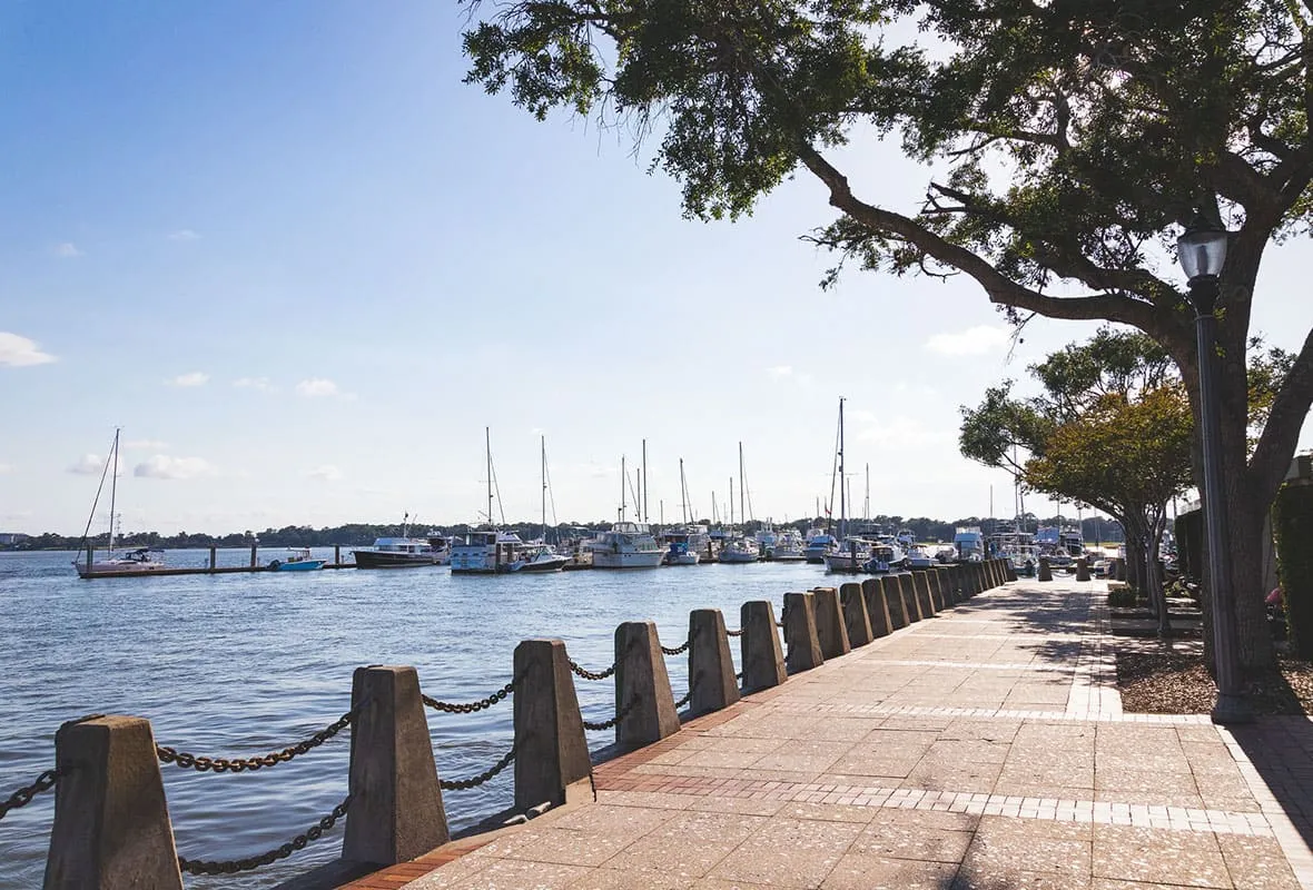 Safe Harbor Beaufort, marina in Beaufort, United States — photo 2