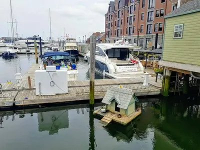 Boston Waterboat Marina in Boston, United States — photo 2