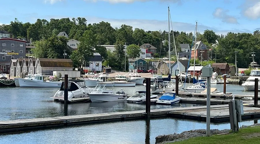 Montague Harbour Marina in Southern Gulf Islands Electoral Area, Canada — photo 7