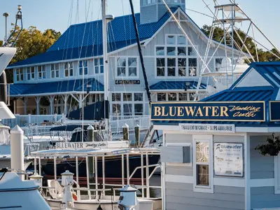 Bluewater Yachting Center, marina in Hampton, United States — photo 2