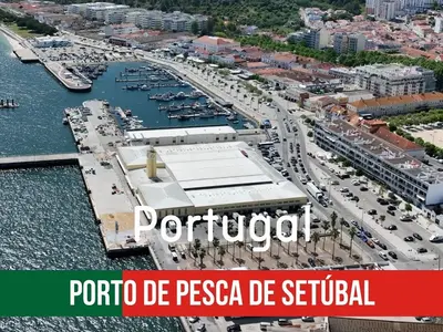 Porto de Pesca de Sines, marina in Sines, Portugal — photo 4