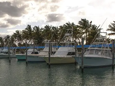 Bill Bird Marina in Miami-Dade County, United States — photo 3